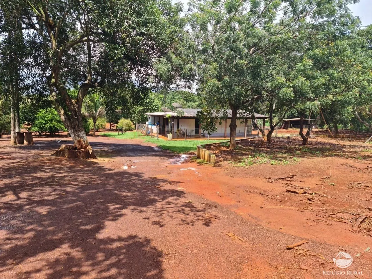 Fazenda à venda de 1.349 ha em Primavera do Leste, MT, Brasil