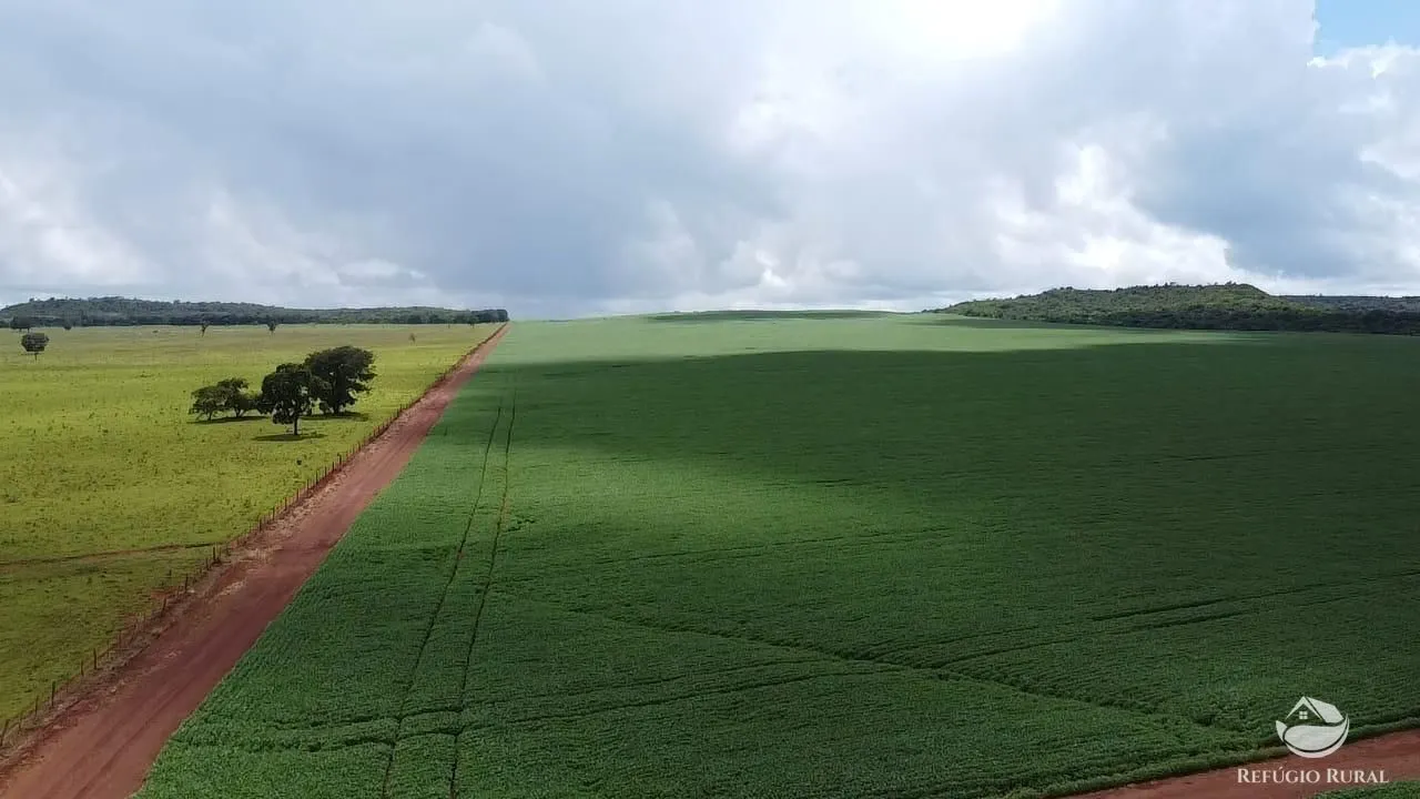 Fazenda à venda de 1.349 ha em Primavera do Leste, MT, Brasil