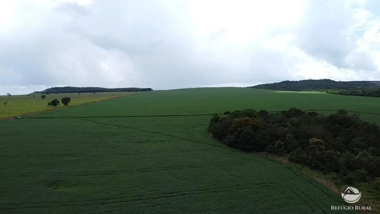 Fazenda à venda de 1.349 ha em Primavera do Leste, MT, Brasil