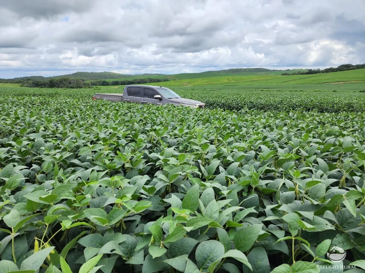 Fazenda à venda de 1.349 ha em Primavera do Leste, MT, Brasil