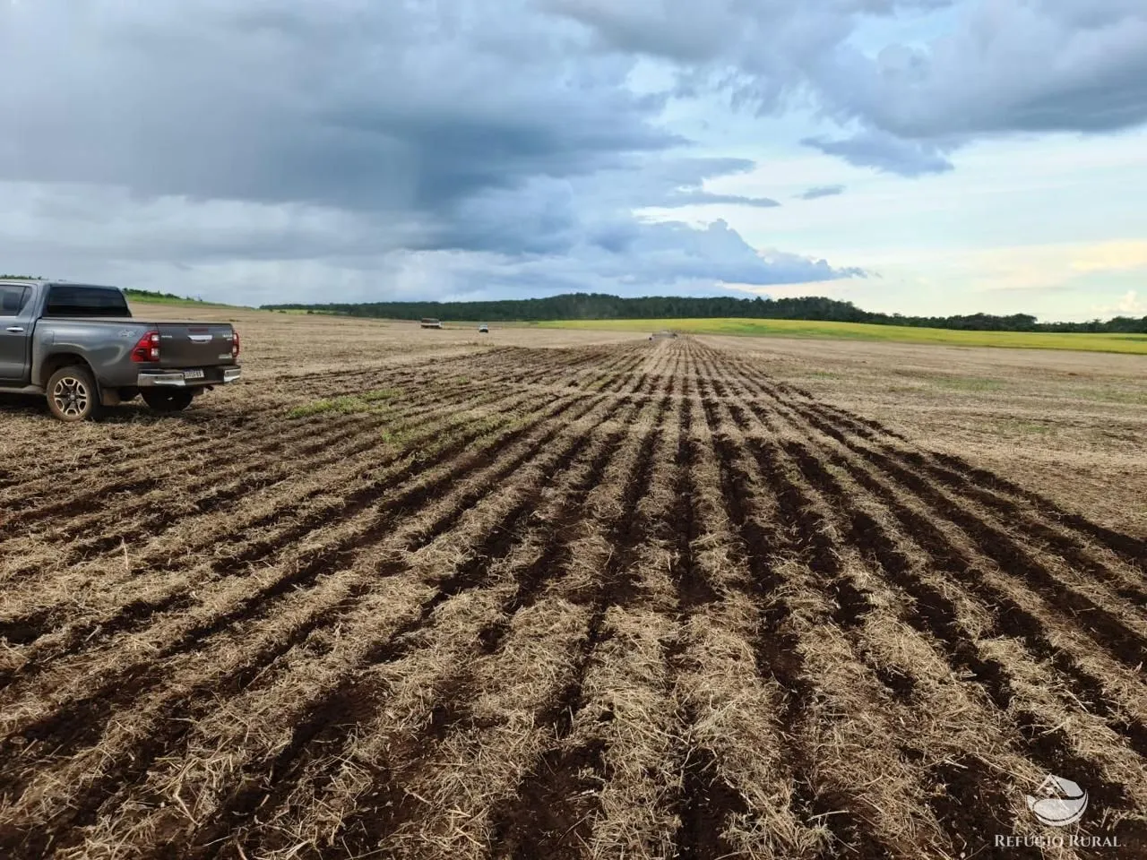 Fazenda à venda de 1.349 ha em Primavera do Leste, MT, Brasil