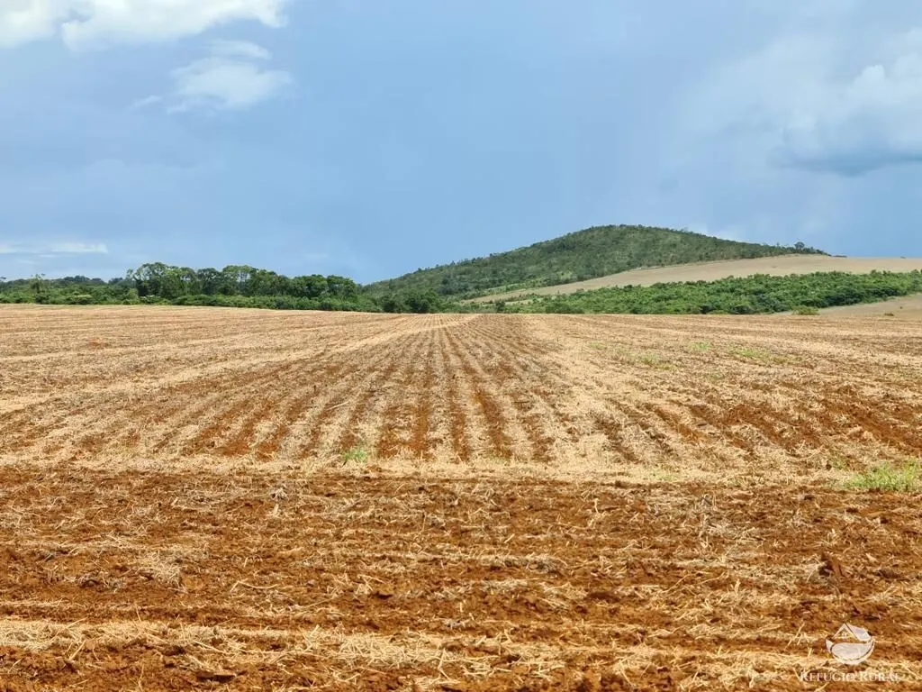 Fazenda à venda de 1.349 ha em Primavera do Leste, MT, Brasil