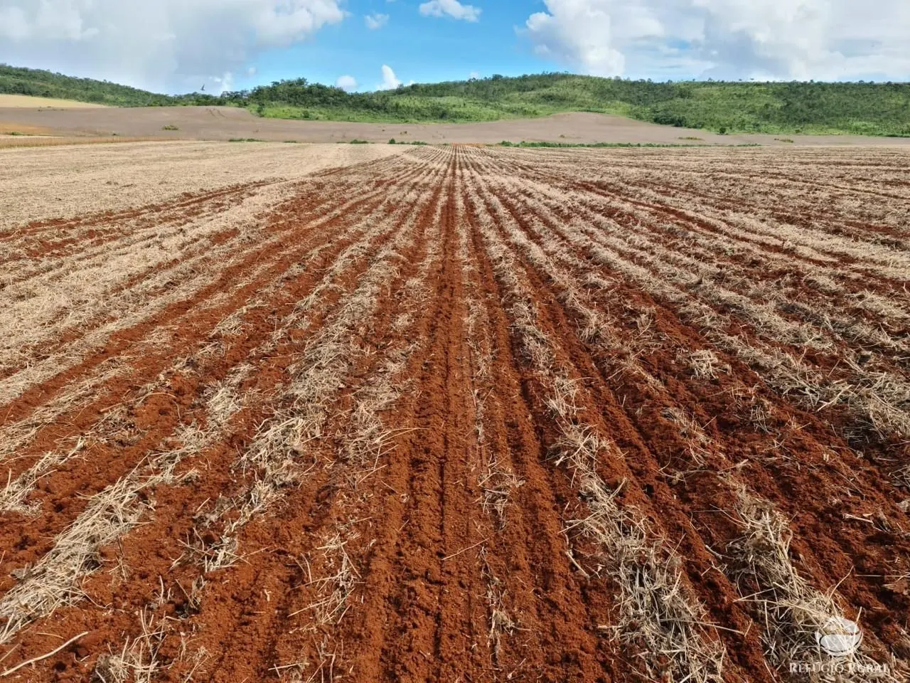 Fazenda à venda de 1.349 ha em Primavera do Leste, MT, Brasil