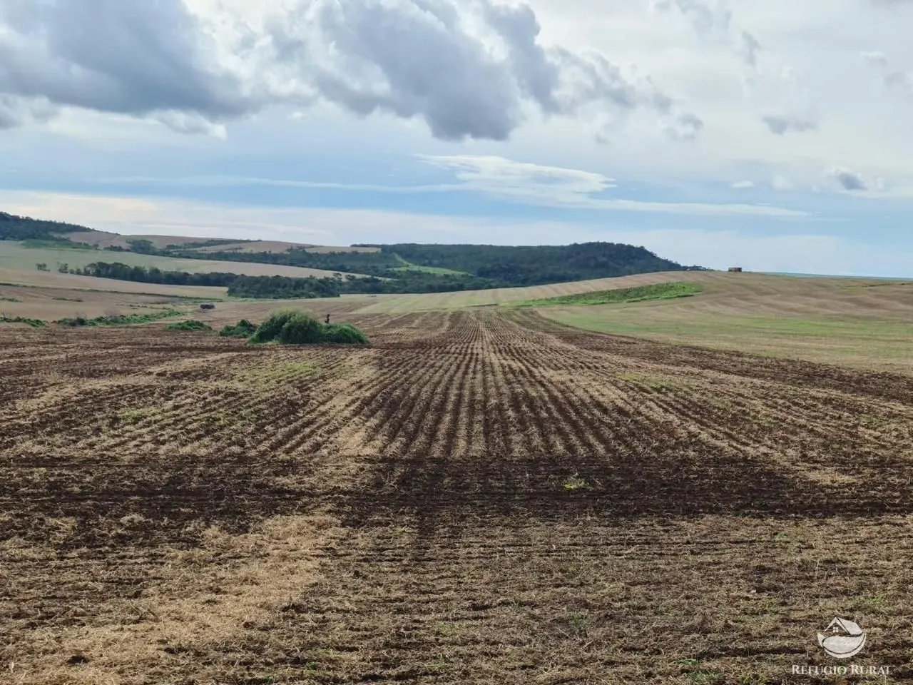Fazenda à venda de 1.349 ha em Primavera do Leste, MT, Brasil