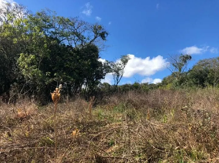 Chácara à venda de 4 ha em Santo Antônio da Patrulha, RS, Brasil