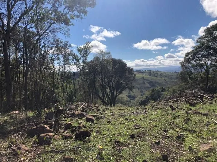 Chácara à venda de 4 ha em Santo Antônio da Patrulha, RS, Brasil