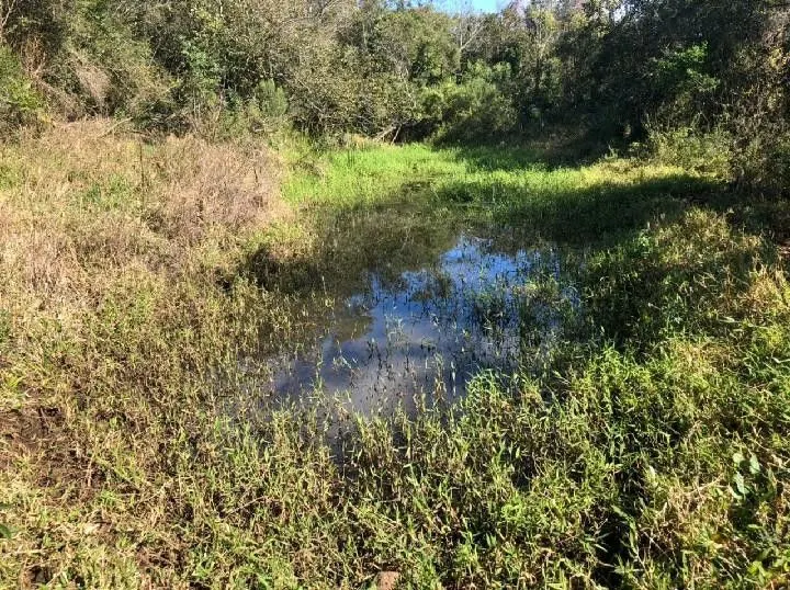 Chácara à venda de 4 ha em Santo Antônio da Patrulha, RS, Brasil