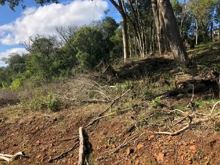 Chácara à venda de 4 ha em Santo Antônio da Patrulha, RS, Brasil