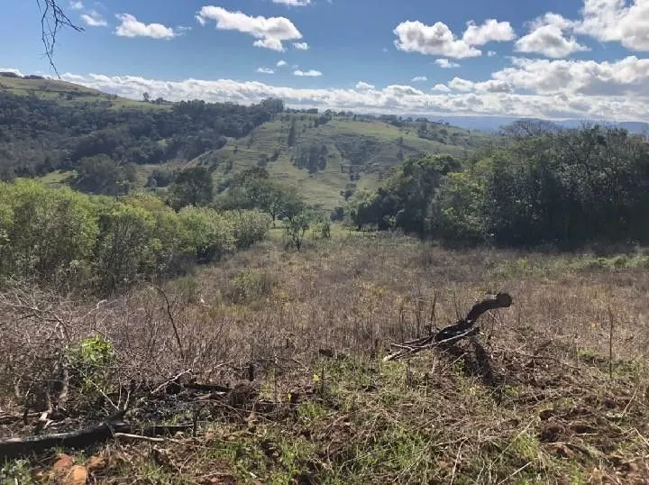 Chácara à venda de 4 ha em Santo Antônio da Patrulha, RS, Brasil