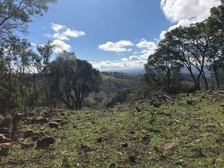 Chácara à venda de 4 ha em Santo Antônio da Patrulha, RS, Brasil