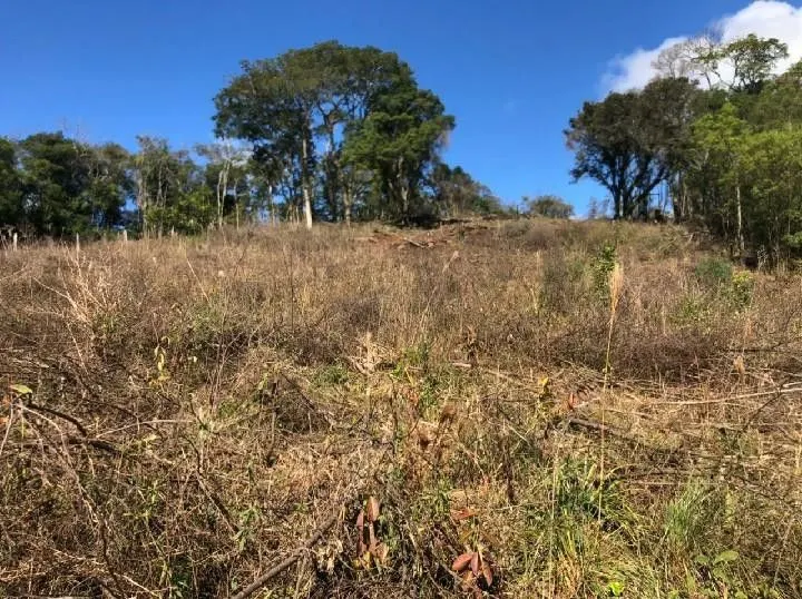 Chácara à venda de 4 ha em Santo Antônio da Patrulha, RS, Brasil
