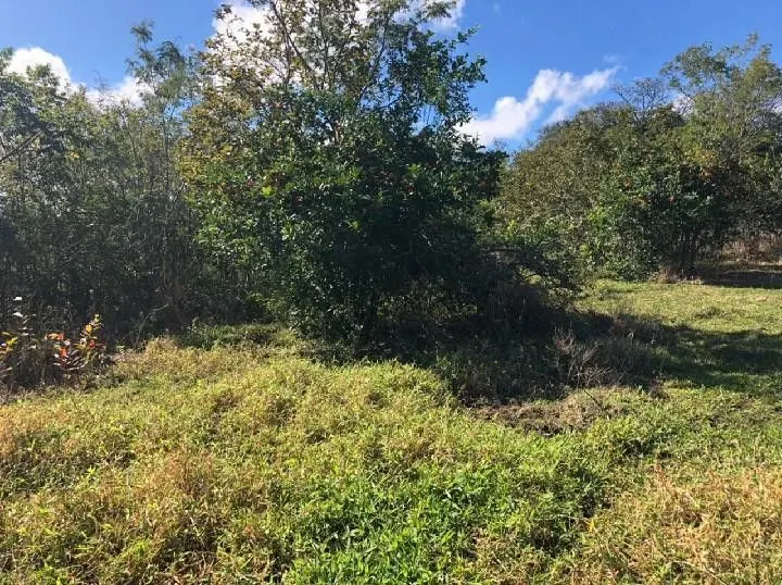 Chácara à venda de 4 ha em Santo Antônio da Patrulha, RS, Brasil