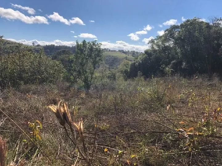 Chácara à venda de 4 ha em Santo Antônio da Patrulha, RS, Brasil