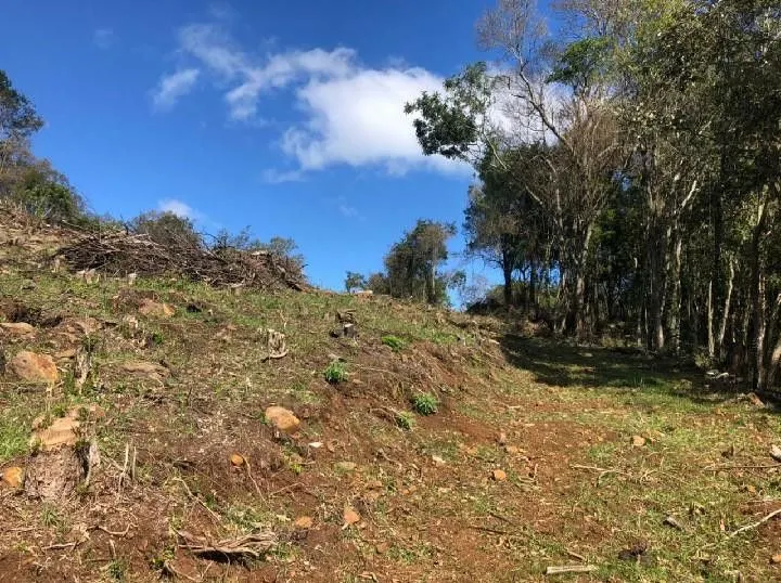 Chácara à venda de 4 ha em Santo Antônio da Patrulha, RS, Brasil