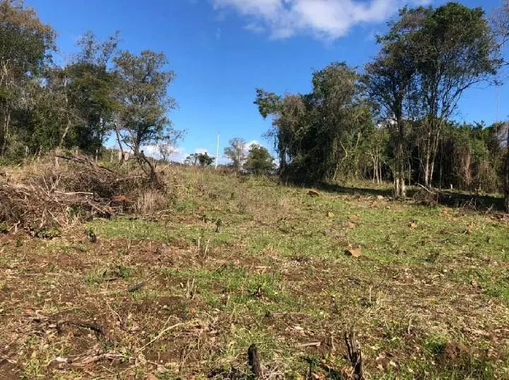 Chácara à venda de 4 ha em Santo Antônio da Patrulha, RS, Brasil