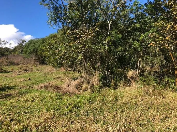 Chácara à venda de 4 ha em Santo Antônio da Patrulha, RS, Brasil