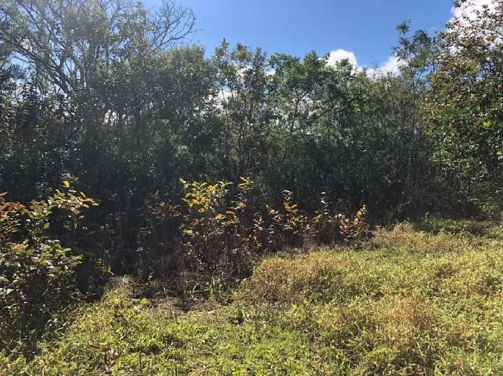 Chácara à venda de 4 ha em Santo Antônio da Patrulha, RS, Brasil