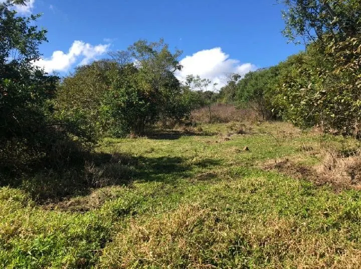 Chácara à venda de 4 ha em Santo Antônio da Patrulha, RS, Brasil