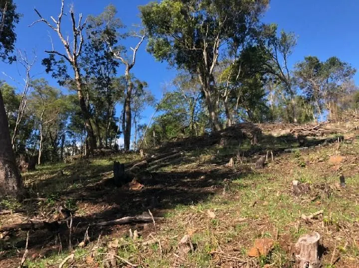 Chácara à venda de 4 ha em Santo Antônio da Patrulha, RS, Brasil