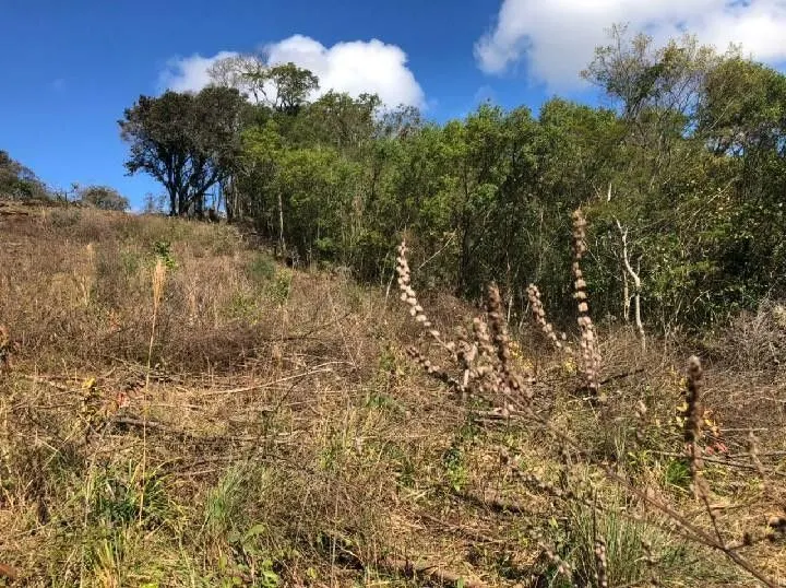 Chácara à venda de 4 ha em Santo Antônio da Patrulha, RS, Brasil