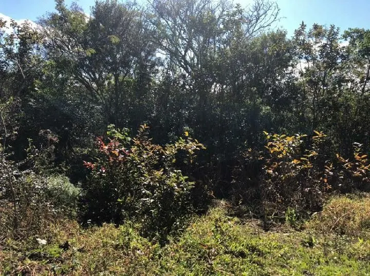 Chácara à venda de 4 ha em Santo Antônio da Patrulha, RS, Brasil