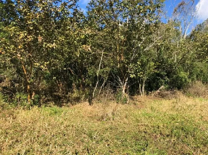 Chácara à venda de 4 ha em Santo Antônio da Patrulha, RS, Brasil