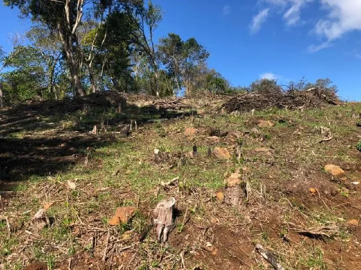 Chácara à venda de 4 ha em Santo Antônio da Patrulha, RS, Brasil