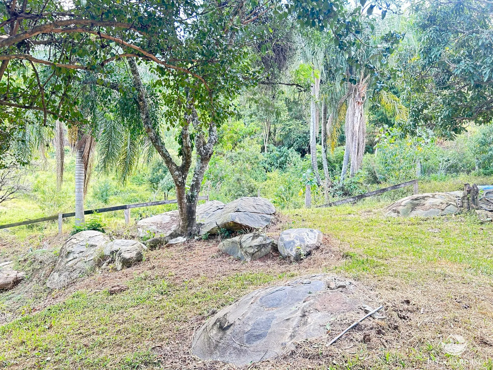 Small farm for sale of 40 acres in Joanópolis, SP, Brazil