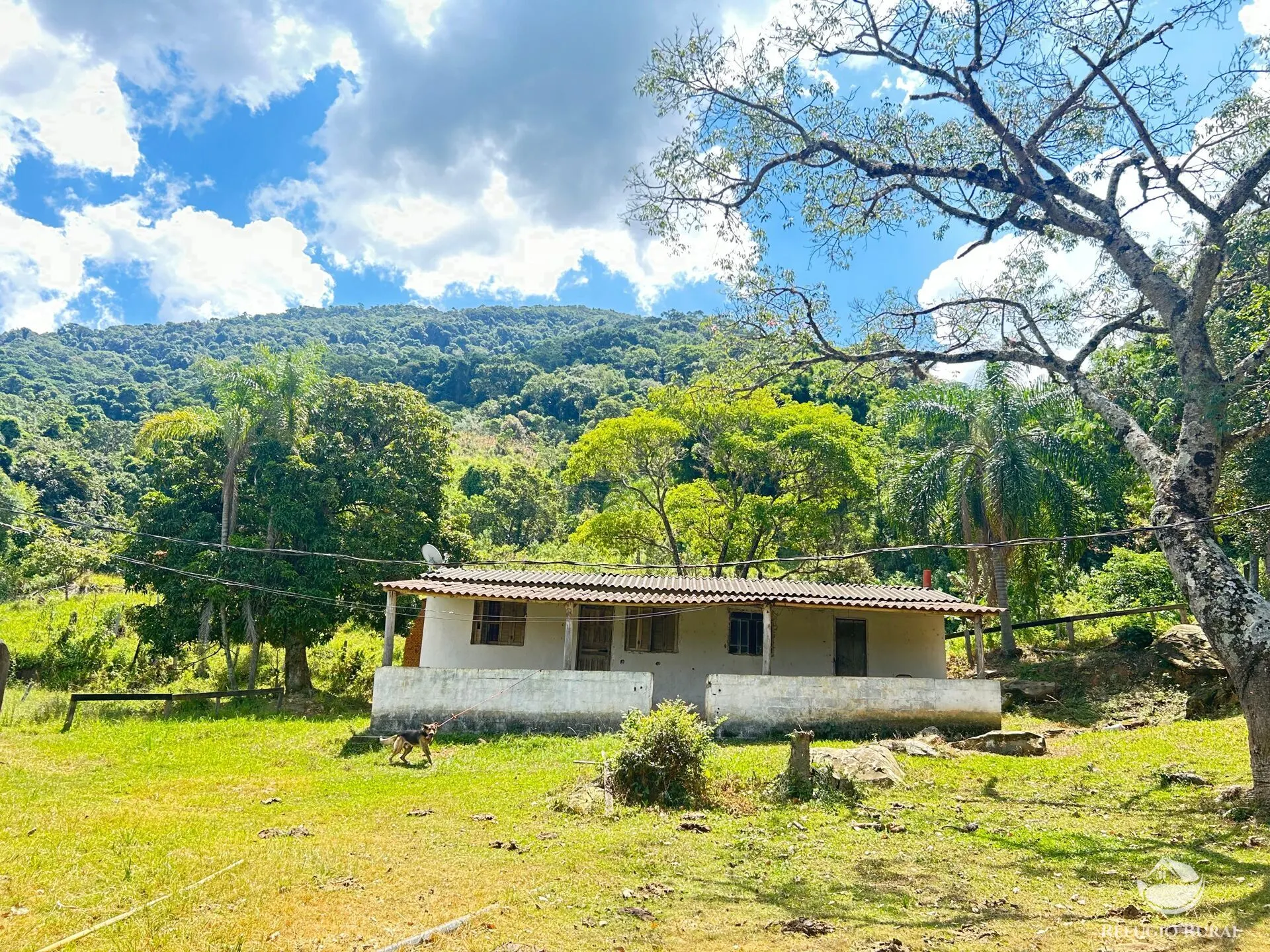 Small farm for sale of 40 acres in Joanópolis, SP, Brazil
