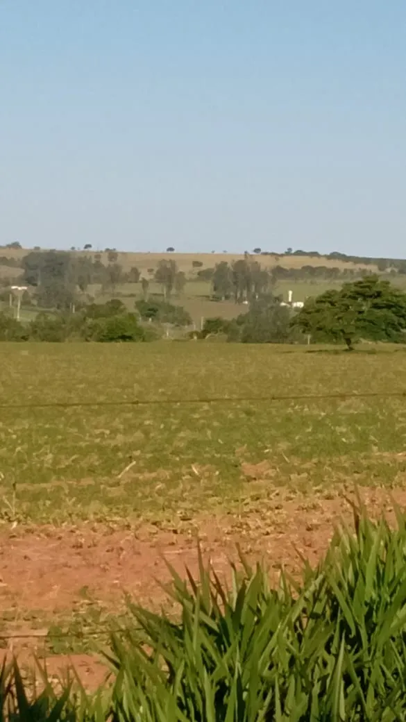 Small farm for sale of 51 acres in Itapetininga, SP, Brazil