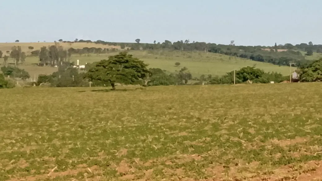 Small farm for sale of 51 acres in Itapetininga, SP, Brazil