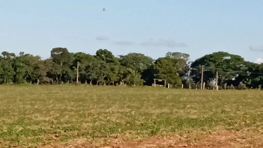Small farm for sale of 51 acres in Itapetininga, SP, Brazil
