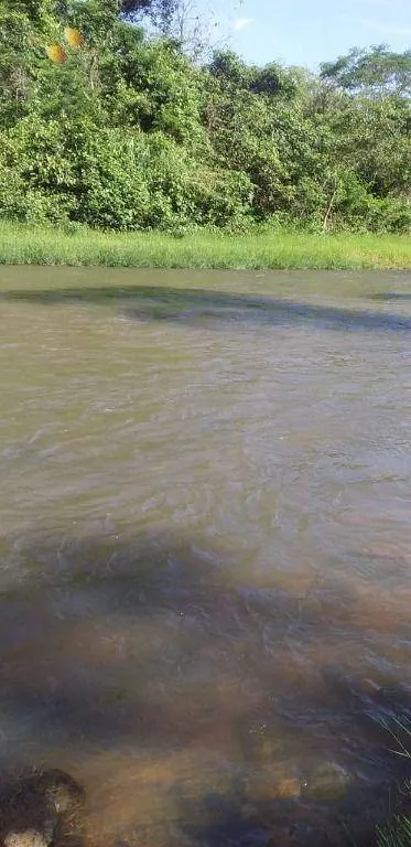 Farm for sale of 272 acres in Poxoréu, MT, Brazil