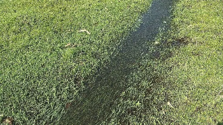 Chácara à venda de 4.400 m² em Rolante, RS, Brasil