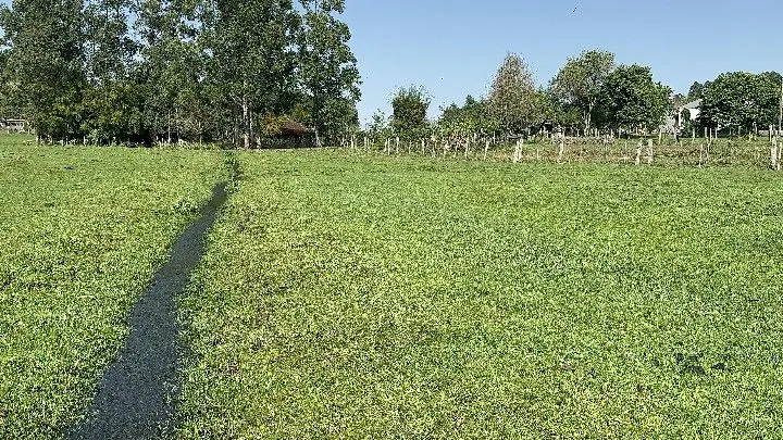 Chácara à venda de 4.400 m² em Rolante, RS, Brasil