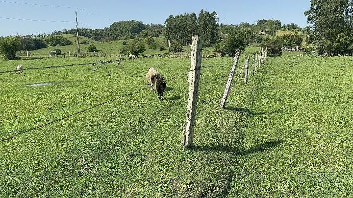Chácara à venda de 4.400 m² em Rolante, RS, Brasil