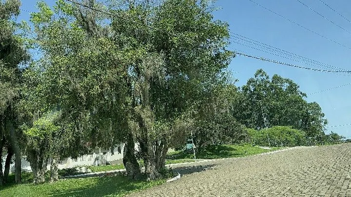 Chácara à venda de 4.400 m² em Rolante, RS, Brasil