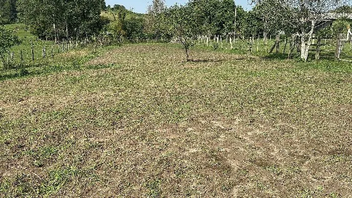 Chácara à venda de 4.400 m² em Rolante, RS, Brasil