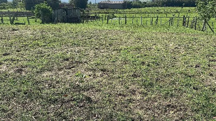 Chácara à venda de 4.400 m² em Rolante, RS, Brasil