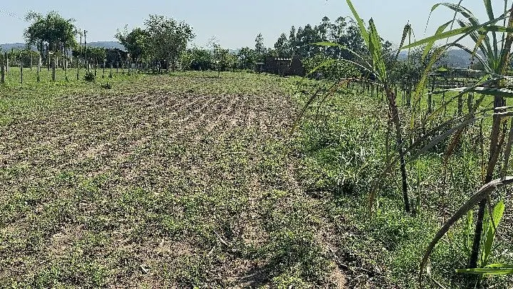 Chácara à venda de 4.400 m² em Rolante, RS, Brasil