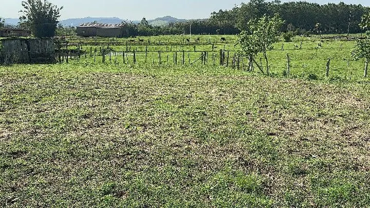 Chácara à venda de 4.400 m² em Rolante, RS, Brasil