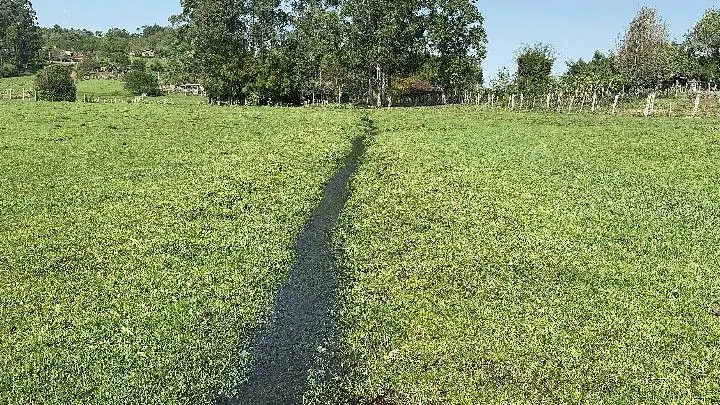 Chácara à venda de 4.400 m² em Rolante, RS, Brasil