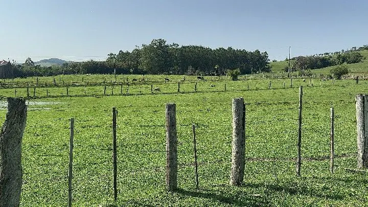 Chácara à venda de 4.400 m² em Rolante, RS, Brasil