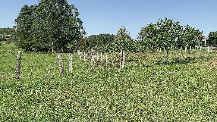 Chácara à venda de 4.400 m² em Rolante, RS, Brasil
