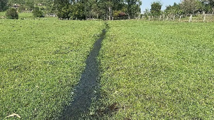 Chácara à venda de 4.400 m² em Rolante, RS, Brasil