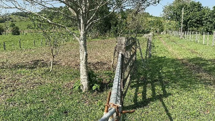 Chácara à venda de 4.400 m² em Rolante, RS, Brasil