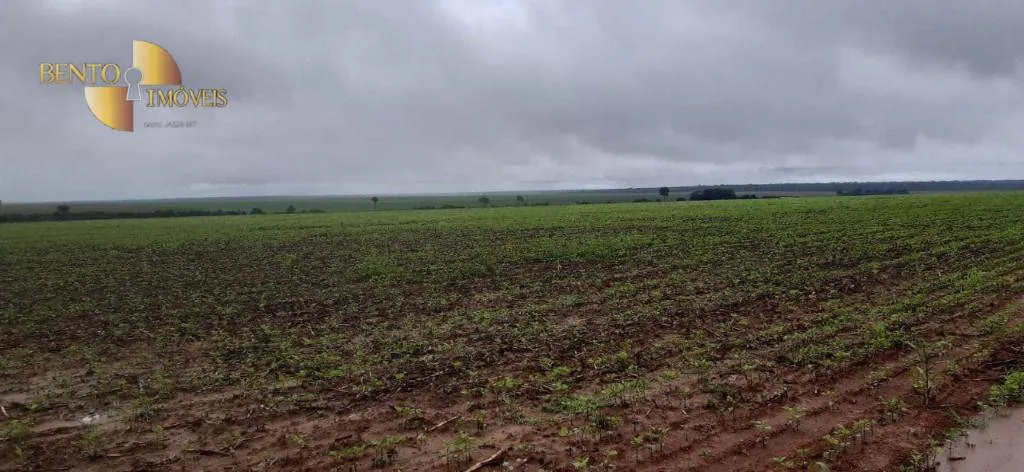 Fazenda à venda de 5.080 ha em Itaúba, MT, Brasil
