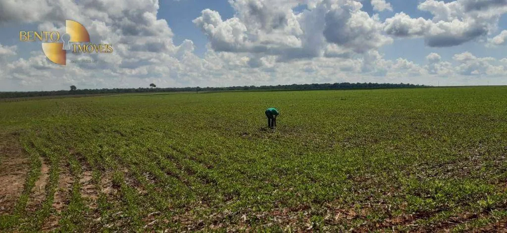 Fazenda à venda de 5.080 ha em Itaúba, MT, Brasil