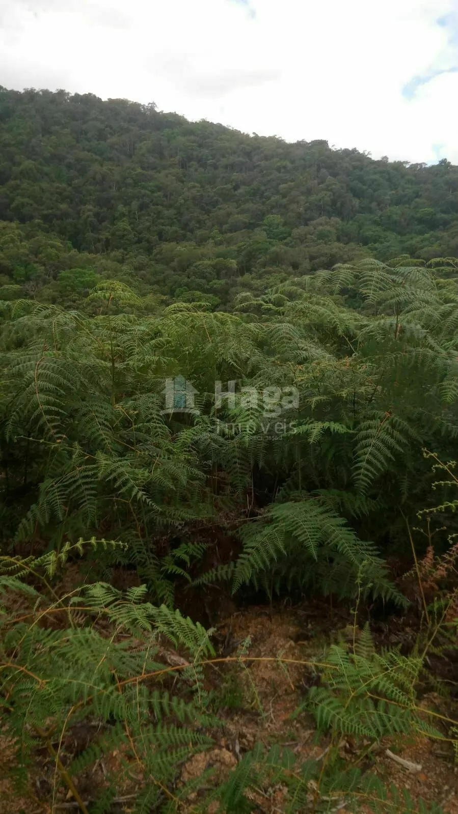 Plot for sale of 21 acres in Guabiruba, SC, Brazil
