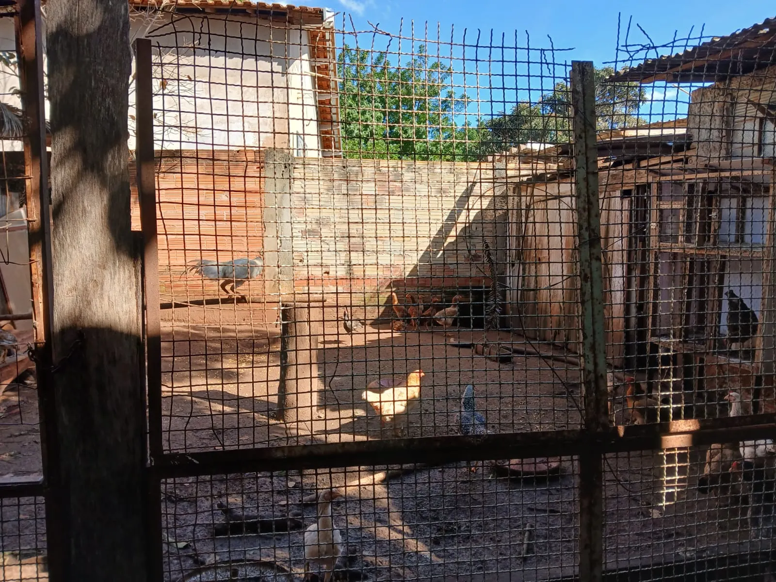 Chácara à venda de 1.000 m² em Taquarituba, SP, Brasil